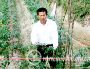 ��ΰ ȫ��ũ�ƽ���������ֲ����