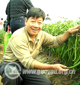 �·�ɽ ȫ��ũ�ƽ��������ƹ㼼��Ա