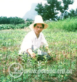 ��˫�� ȫ��ũ�ƽ��������ƹ㼼��Ա