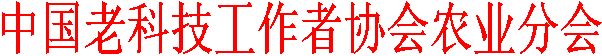 йϿƼЭũҵֻ